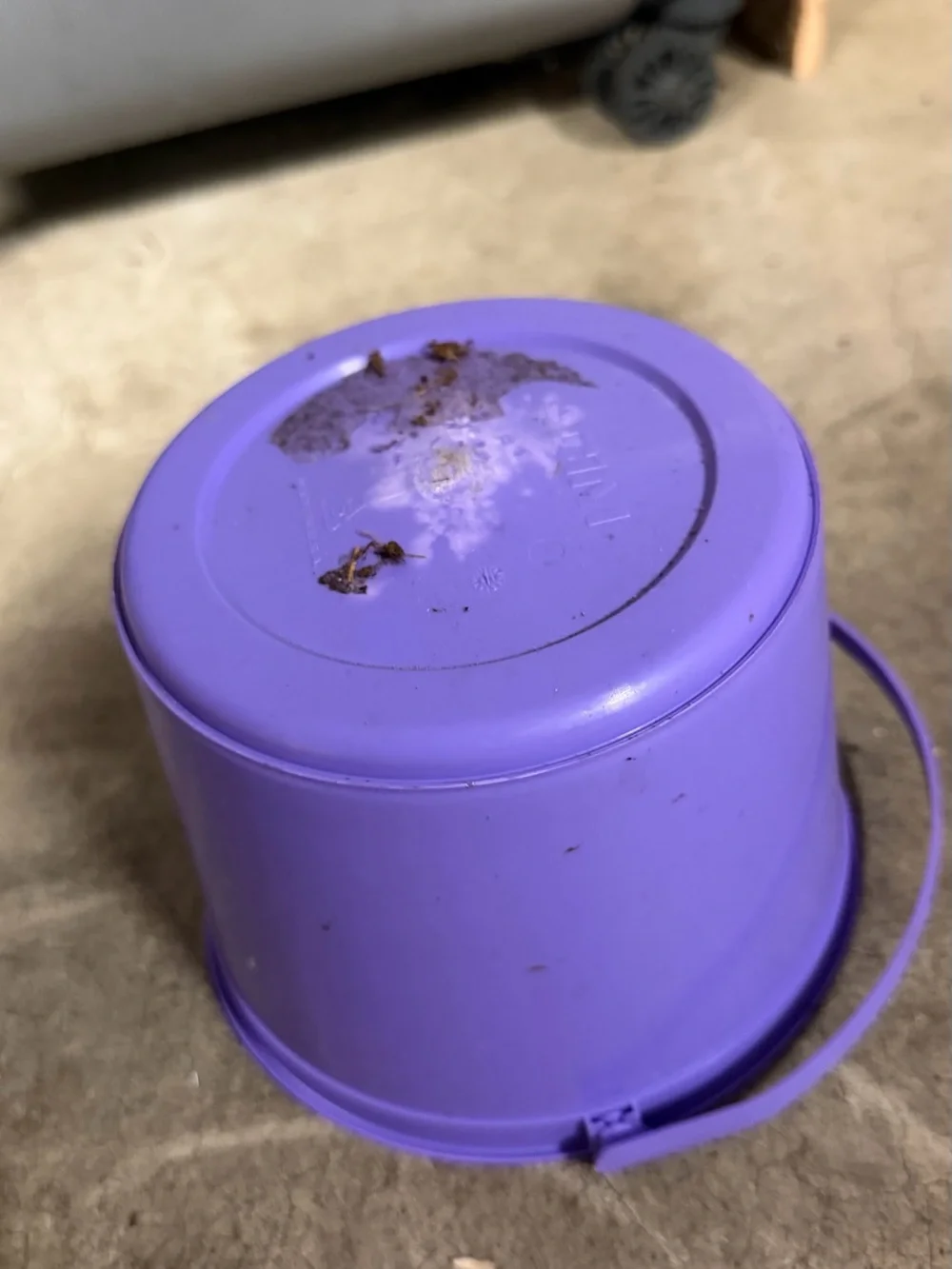N/A durable purple